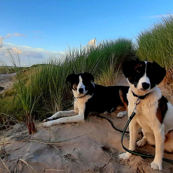 angebot_einzelcoaching