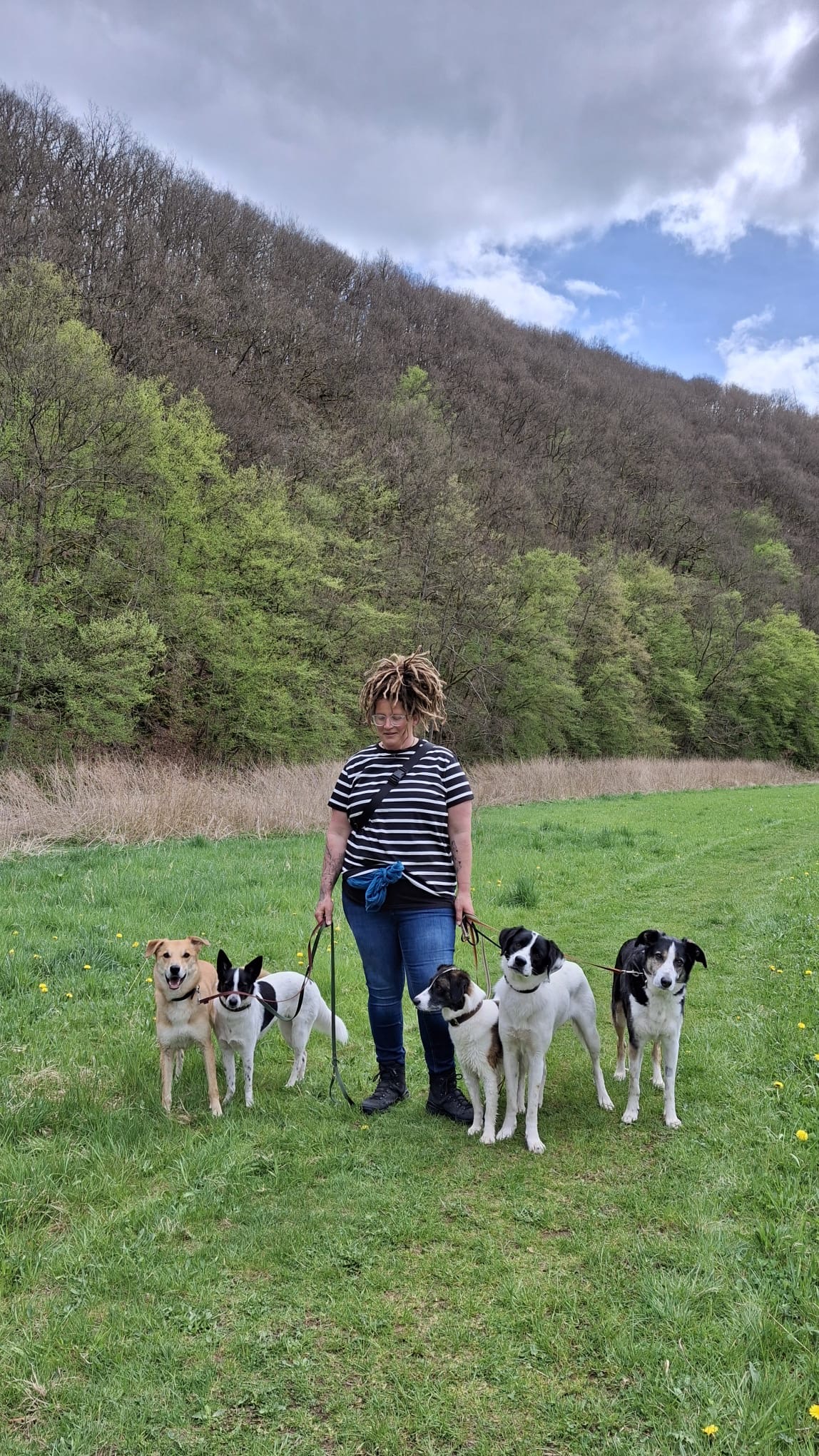 ea823a10-b7dc-422e-ad6b-a02cb1520613