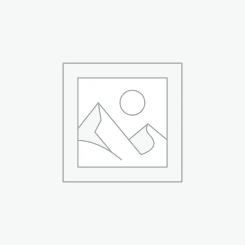 Animal transport cage